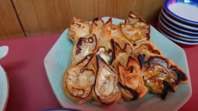 ぎょうざの店 龍園の魅力を深掘り!手づくり餃子と定食が人気