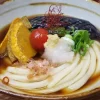 自家製うどん さんたく完全ガイド｜人気メニューや混雑回避のコツ