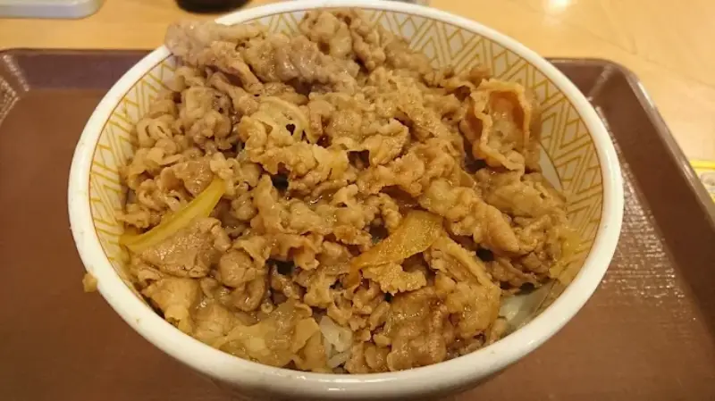 すき家 キング終了の理由と現行メニュー比較｜メガ牛丼との違いを詳しく解説