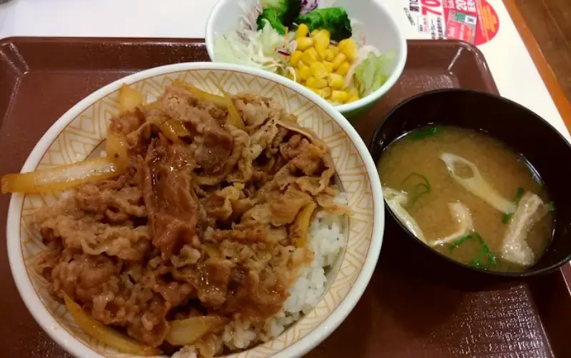 すき家 キング終了の理由と現行メニュー比較｜メガ牛丼との違いを詳しく解説