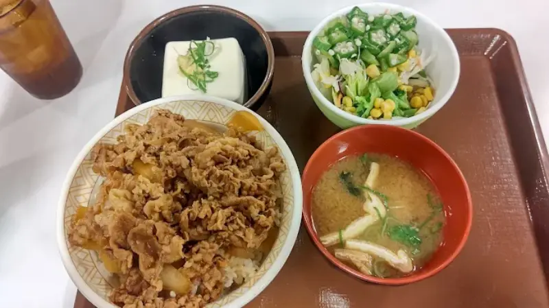 すき家の中盛りはご飯少なめ肉増量?並盛や大盛りとの違いと選び方
