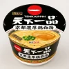 天下一品のカップラーメンを徹底解説｜再現度や味の魅力を総まとめ